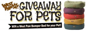 pet bed giveaway