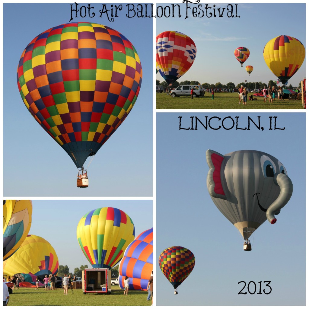My CrAzY LiFe Lincoln Art and Balloon Festival